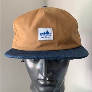 Patagonia Range Cap